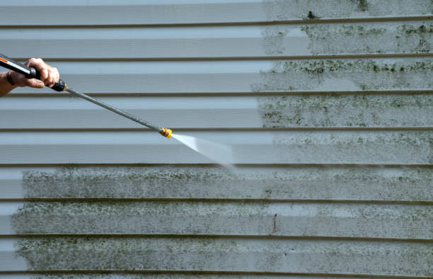 Mold Testing and Removal in Mclean, VA