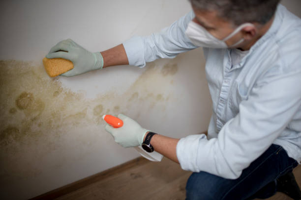 Water Damage Restoration in Mclean, VA