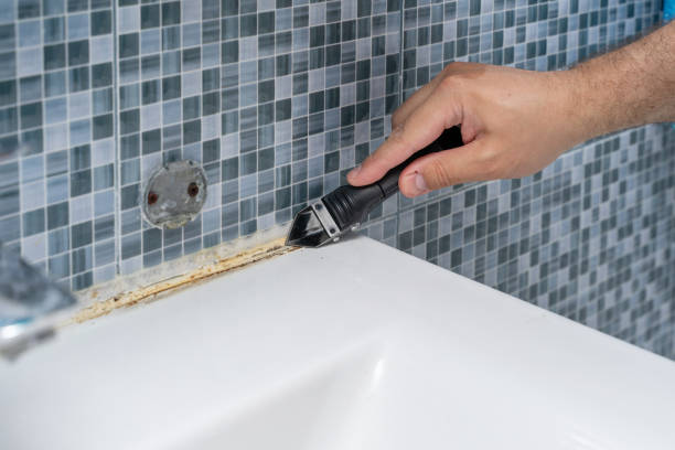 Best Home Mold Removal  in Mclean, VA