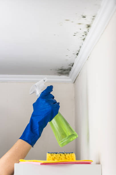 Crawl Space Mold Removal in Mclean, VA